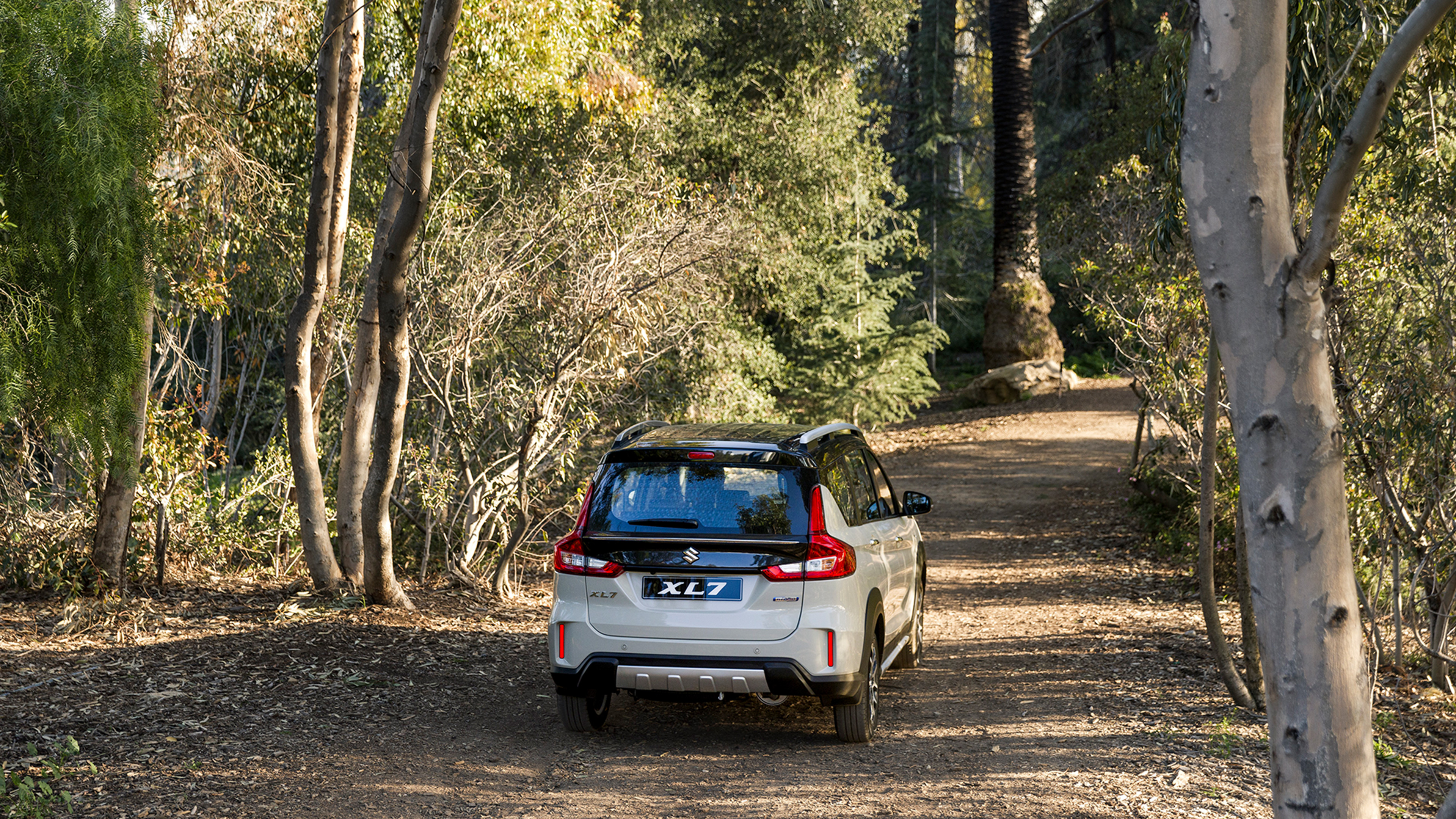 Suzuki-XL7-inside-forest-rear-view