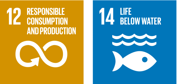 12 RESPONSIBLE CONSUMPTION AND PRODUCTION 14 LIFE BELOW WATER