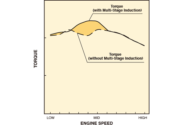 Diagram of Multi-Stage Induction (MSI)