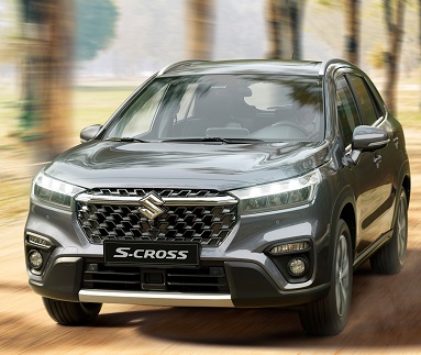Picture of S-cross