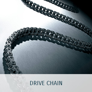 DRIVE CHAIN