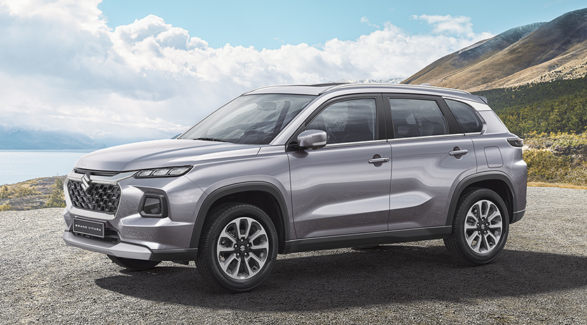 Grand Vitara parked near mountains