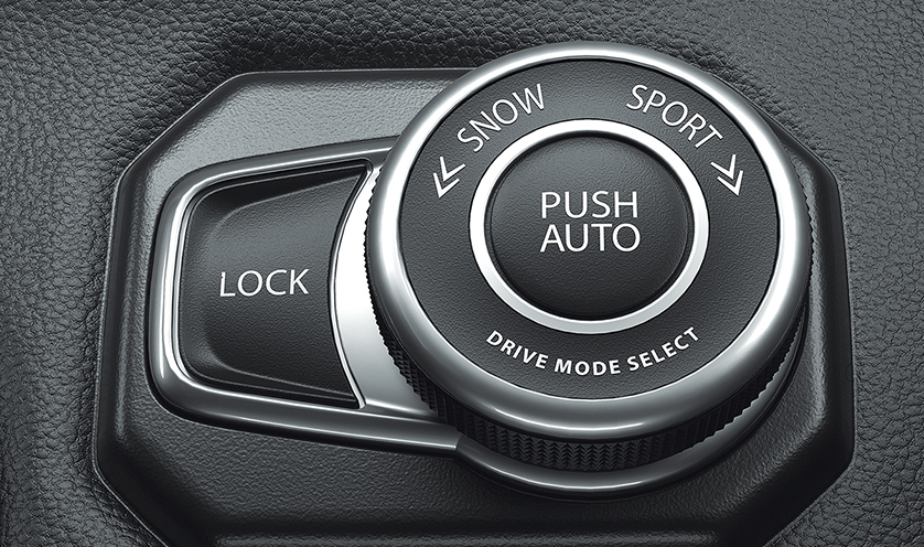 ALLGRIP SELECT dial