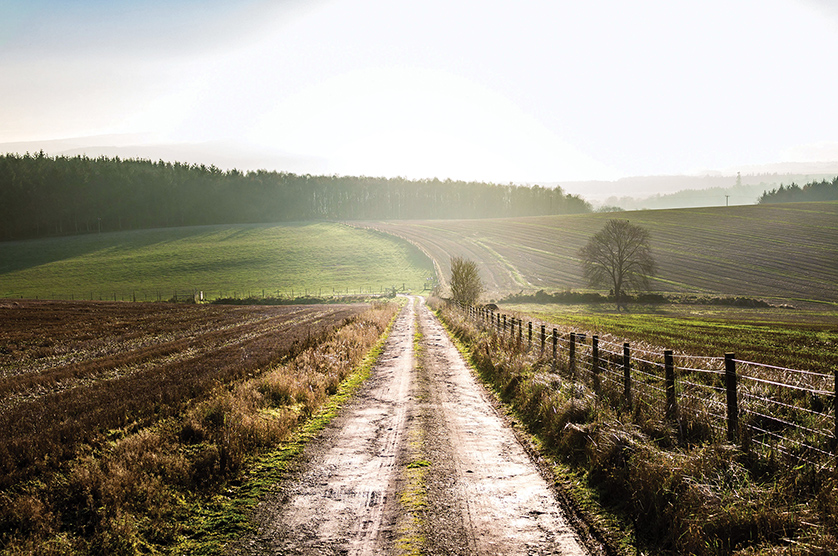 Muddy road