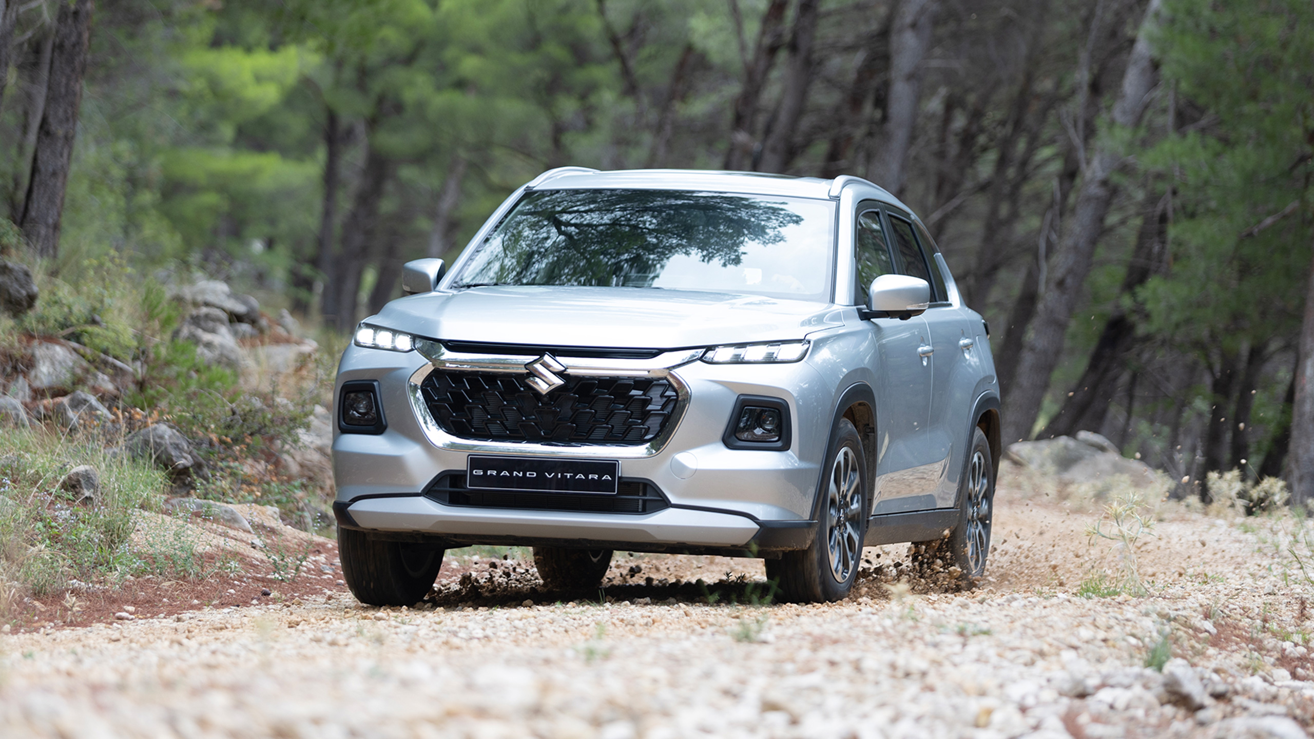 Grand Vitara running in the forest