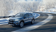 image_from_world_premiere_of_the_all-new_S-CROSS_front_snow