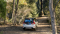 Suzuki-XL7-inside-forest-rear-view