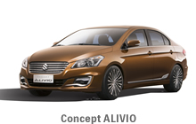 Concept ALIVIO