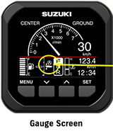 Gauge Screen