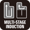 MULTI STAGE INDUCTION