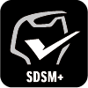 SDSM+