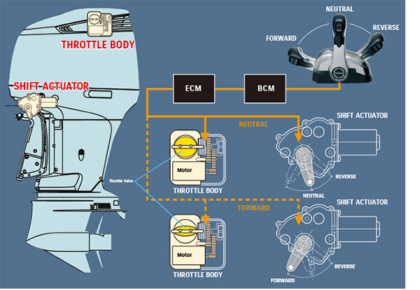 Diagram of Suzuki Precision Control (Electronic Throttle and Shift Systems)