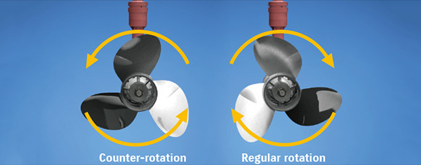 Diagram of Suzuki Selective Rotation