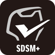 SDSM+