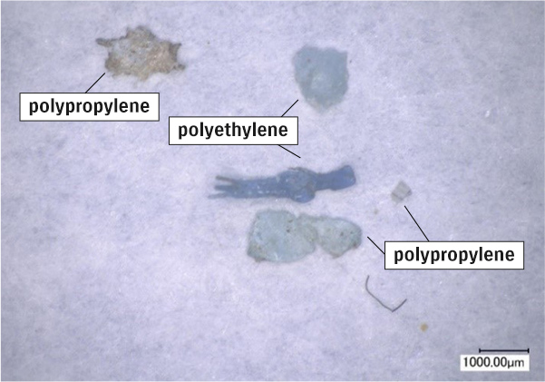 Diagram of Collect Marine Micro-Plastic Waste①