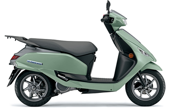 Pearl Jade Green / Metallic Mat Fibroin Gray (C1A)