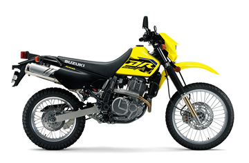 Champion Yellow No.2 /Solid Black (GY8)