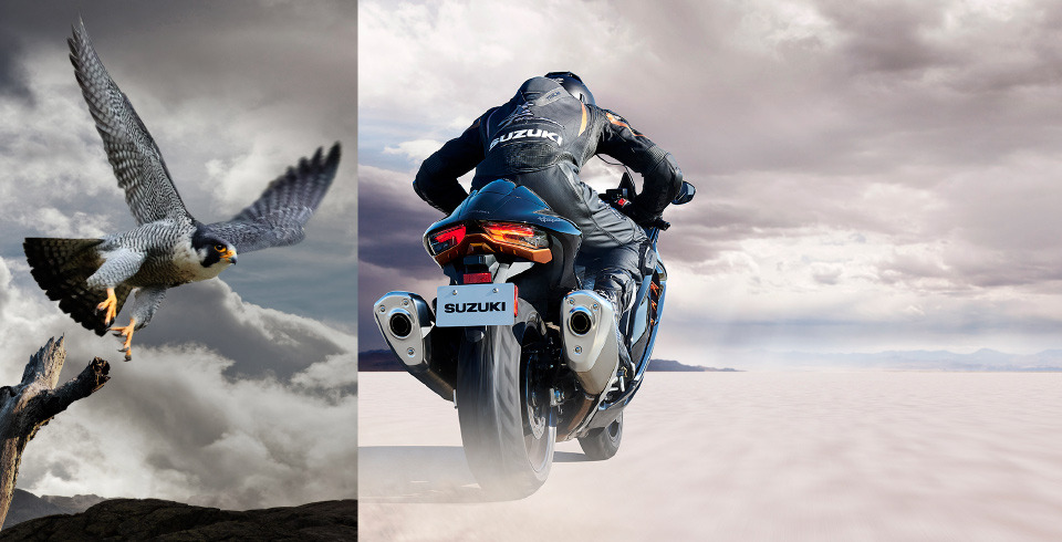 Hayabusa | MOTORCYCLE | Global