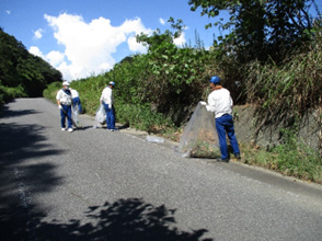 Voluntary cleanup around the plant (1)