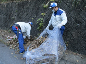 Voluntary cleanup around the plant (2)