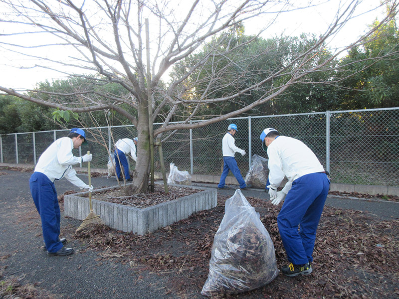 Grass trimming and trash pickup