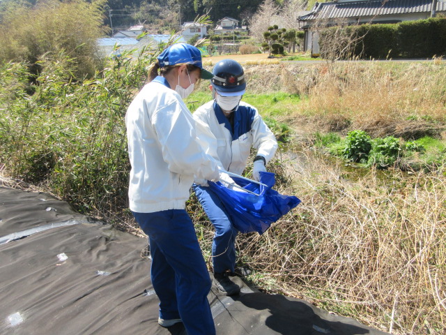 Voluntary cleanup around the plant