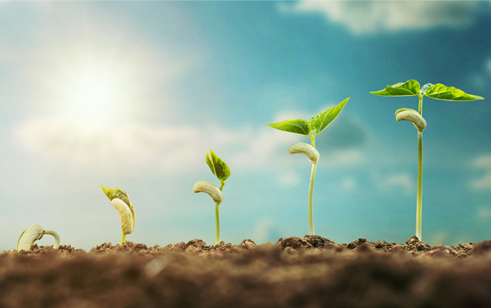 Mid- to Long-Term Targets and Results