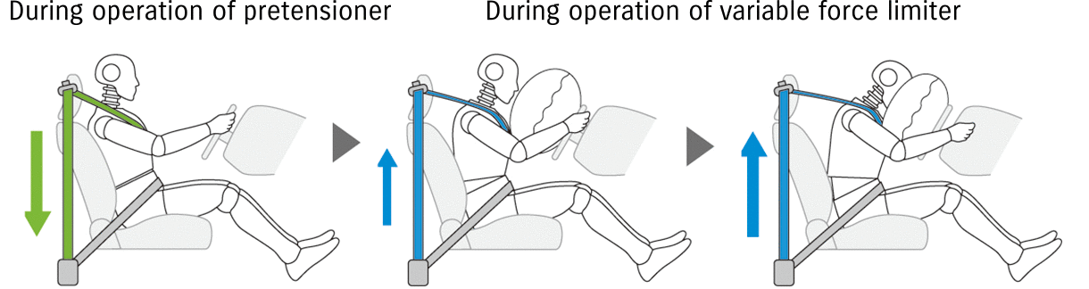 Front and rear ELR 3-point seat belts in operation