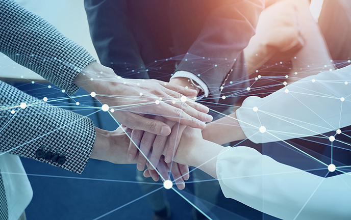 Establishing a Robust Supply Chain