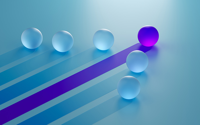 Basic Policy and Promotion Structure